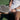 High end performance pickleball paddles